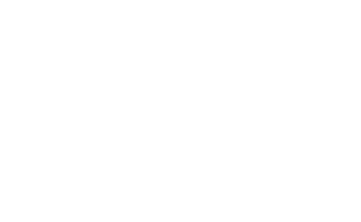 Canadian Council for Public-Private Partnerships Logo
