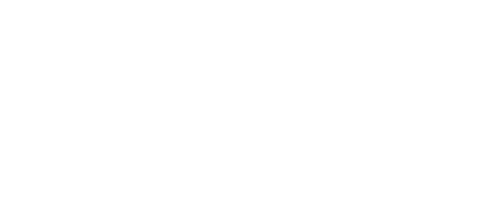 Qatar Airways Intranet Logo