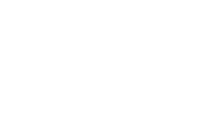 CVO Website design and development 