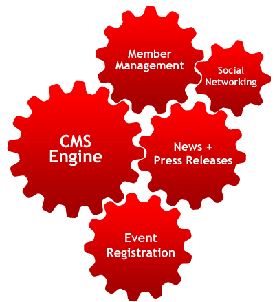 CMS content management system