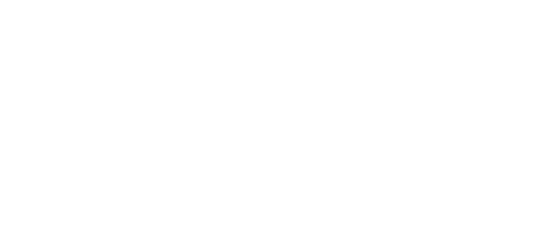 Prince's Trust Logo