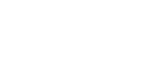Decennial Mineral Exploration Conferences logo