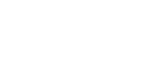 The Mobile Shop Sales Rally logo