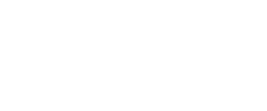 Nicolas Triathlon Logo