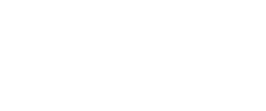 P3 Annual Conference logo