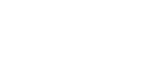Real Estate Institute of Canada Logo