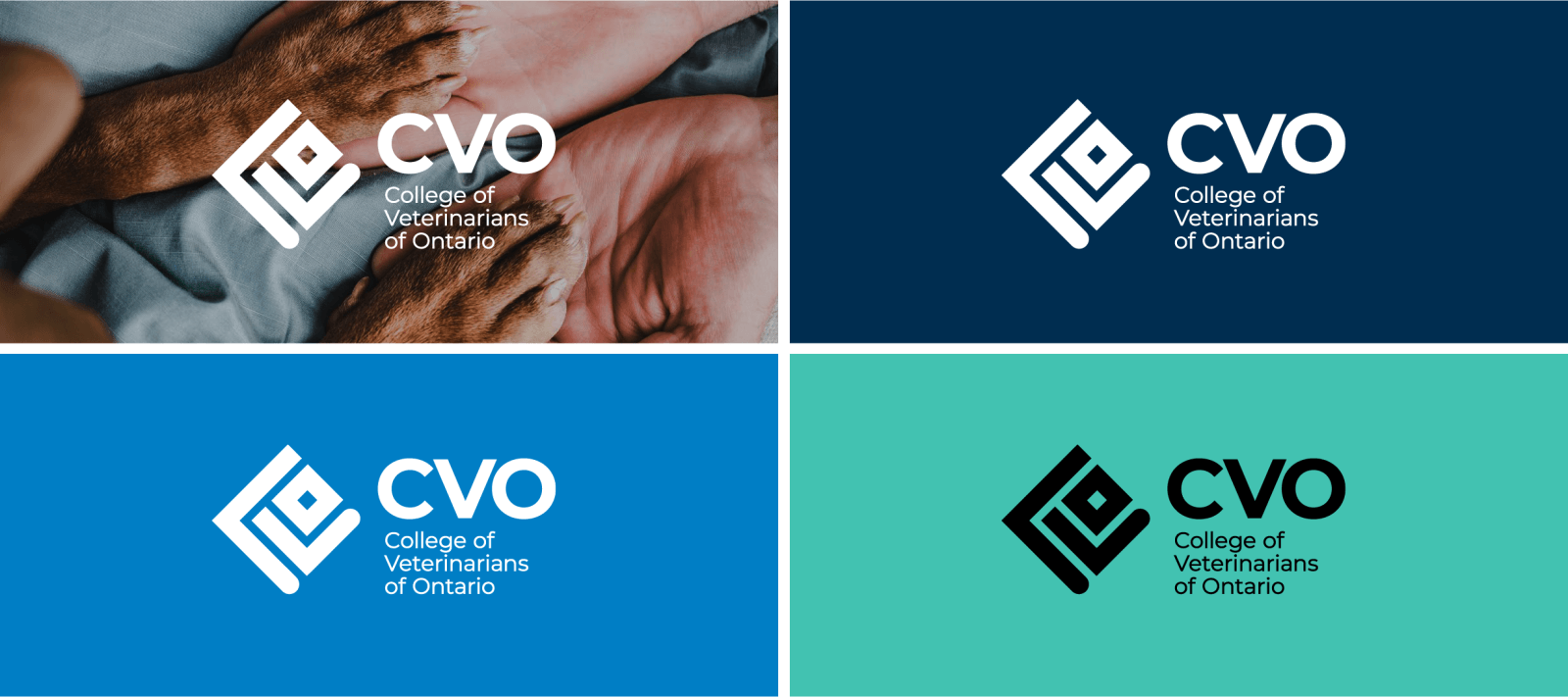 College of Veterinarians of Ontario rebranding