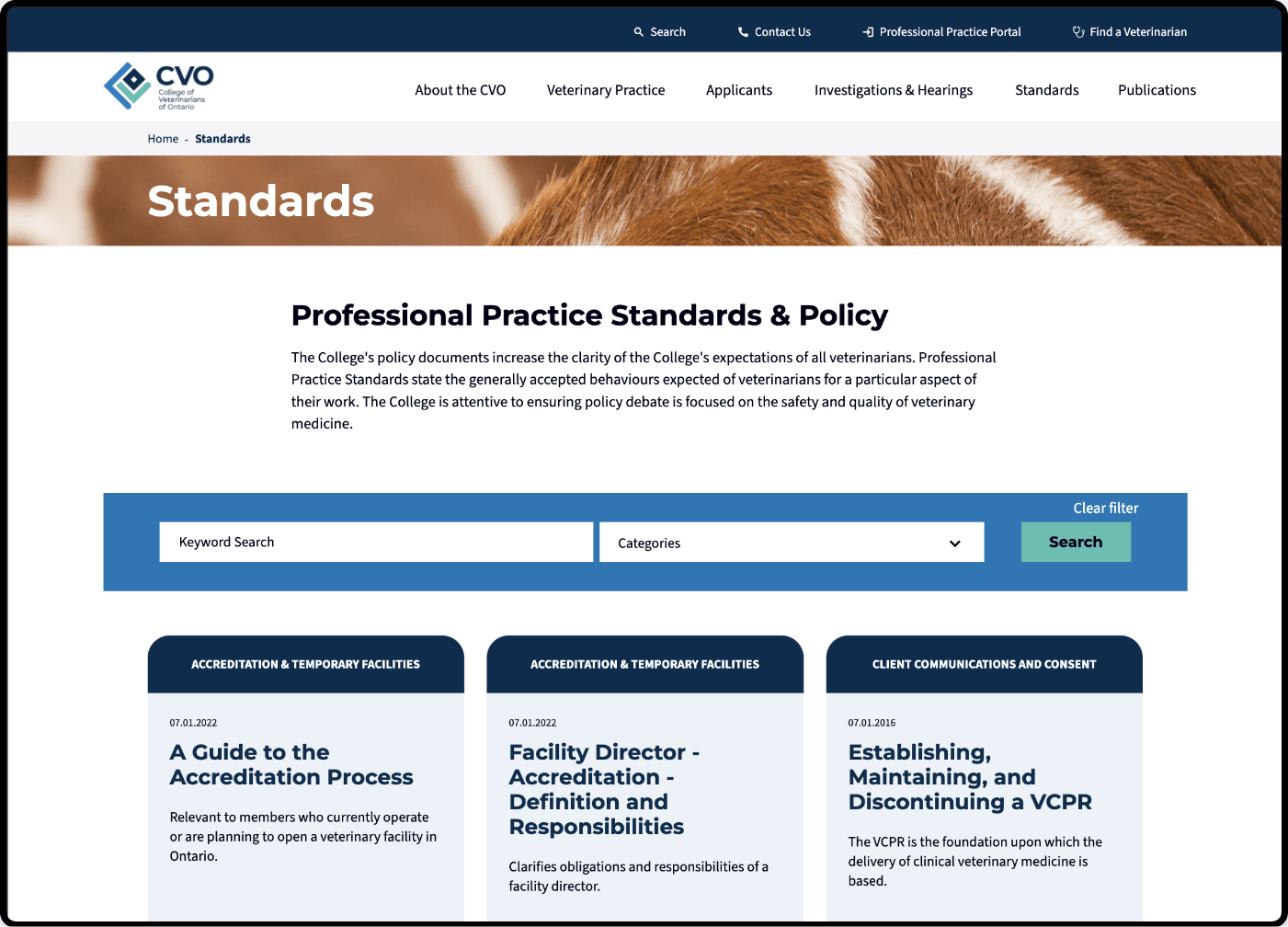 standards web page design