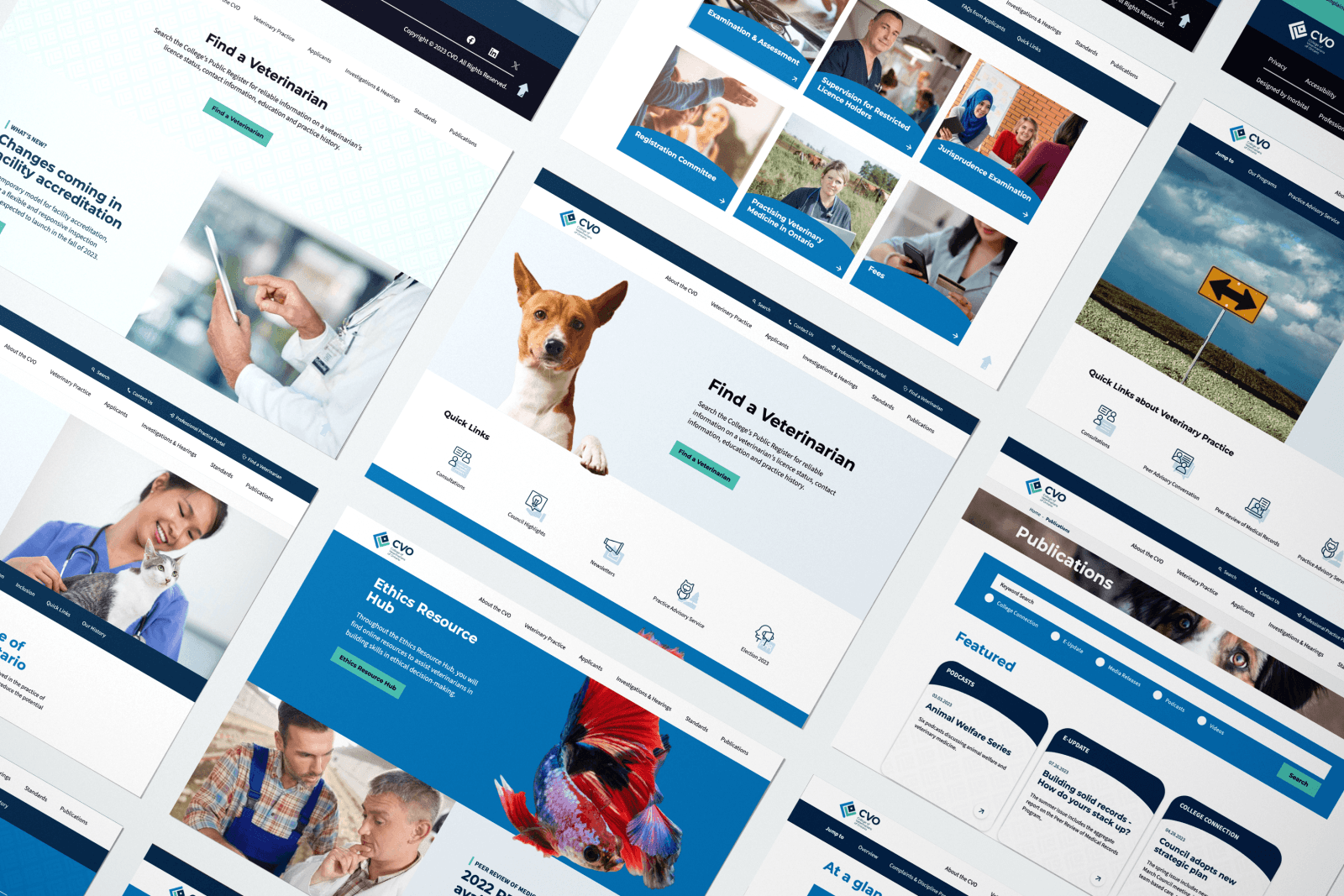 College of Veterinarians of Ontario website design layouts